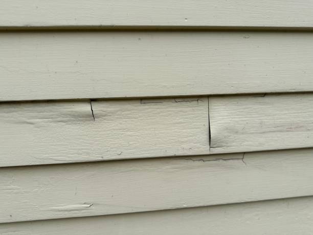 Best Fiber Cement Siding Installation  in Nashville, IN